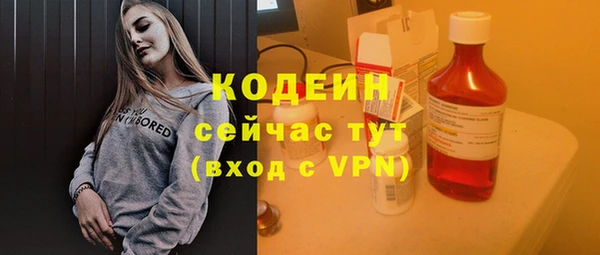 дживик Белокуриха