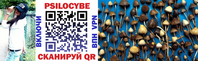 Купить где  Курганинск  Псилоцибиновые грибы прущие грибы 