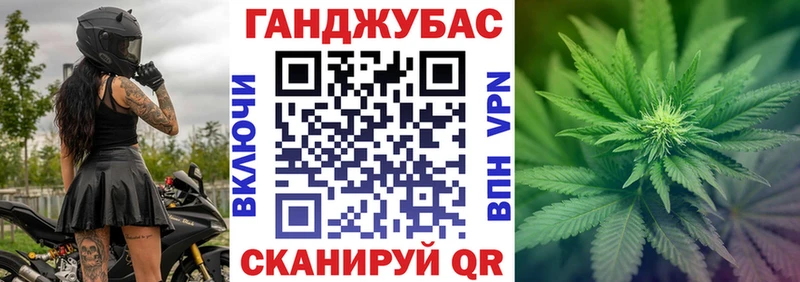 Конопля гибрид Курганинск